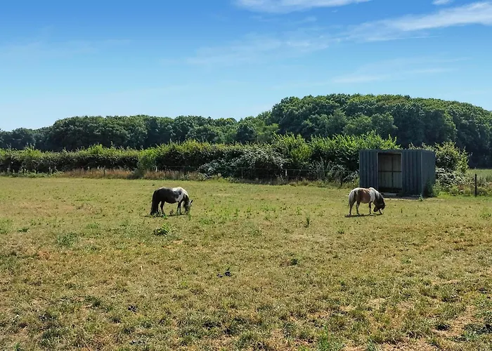 بيت للعطل 3 Bedroom Lovely In *