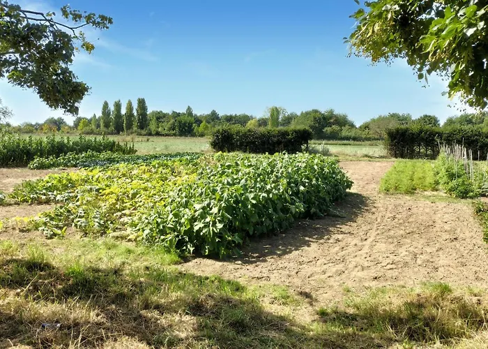 3 Bedroom Lovely In بيت للعطل بيسيل