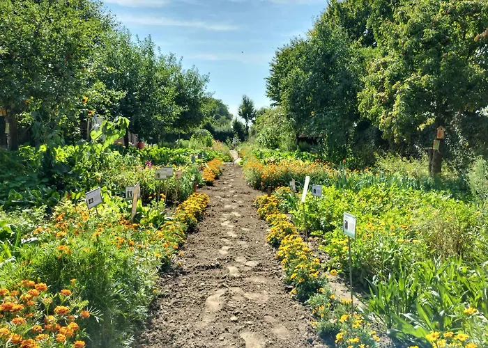 3 Bedroom Lovely In * بيسيل