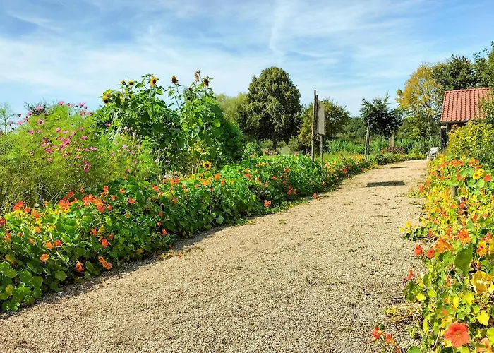 3 Bedroom Lovely In بيت للعطل بيسيل