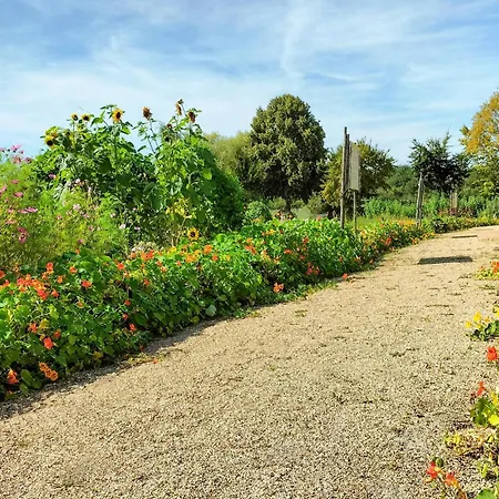 3 Bedroom Lovely In Casa de Férias Beesel